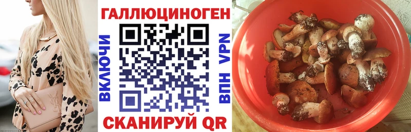 Галлюциногенные грибы MAGIC MUSHROOMS  Малая Вишера 